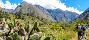 Camino Inca Machupicchu 5D74N