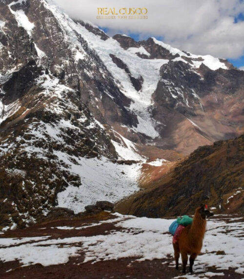 Lares Trek a Machu Picchu 4 Días