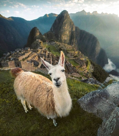 Cusco y Machu Picchu 5 Días