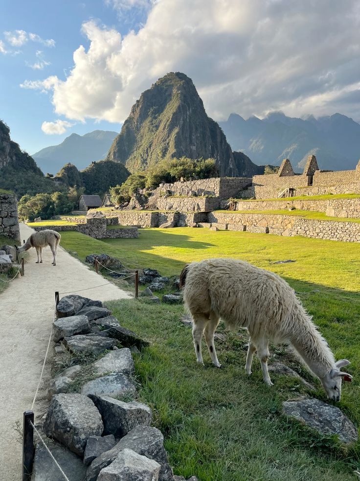 Temporada alta Machu Picchu