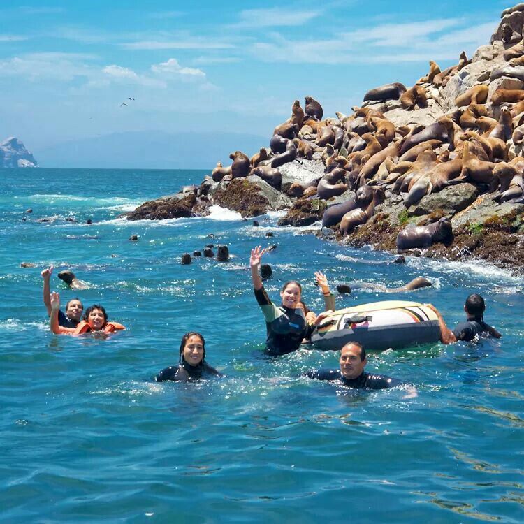 b1e43afcb7b953e3f36f73dafd4fd04a