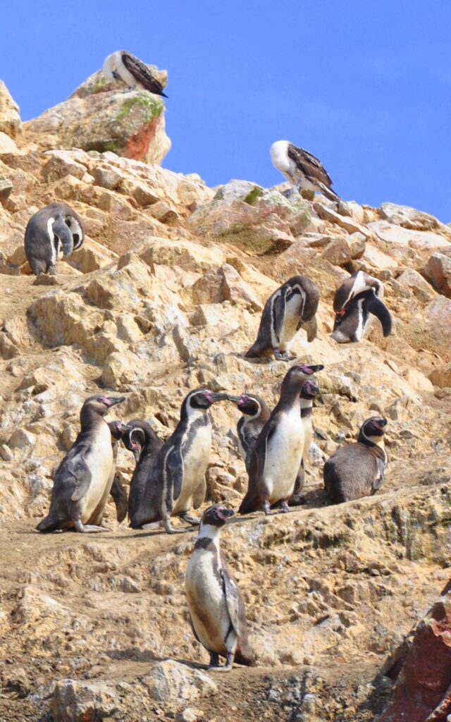 c1d1cac557465be901be73263eca7647